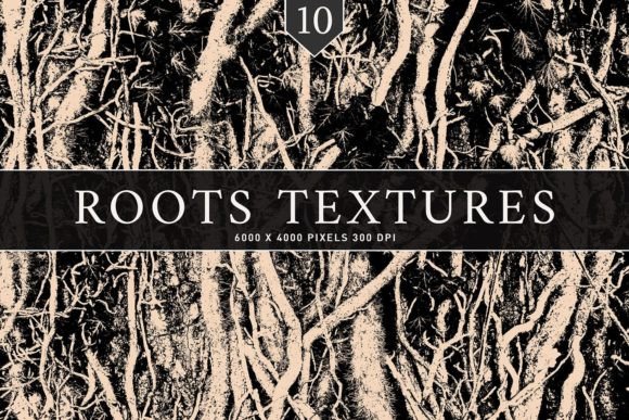 Enhance Your Creative Projects with Roots Textures
